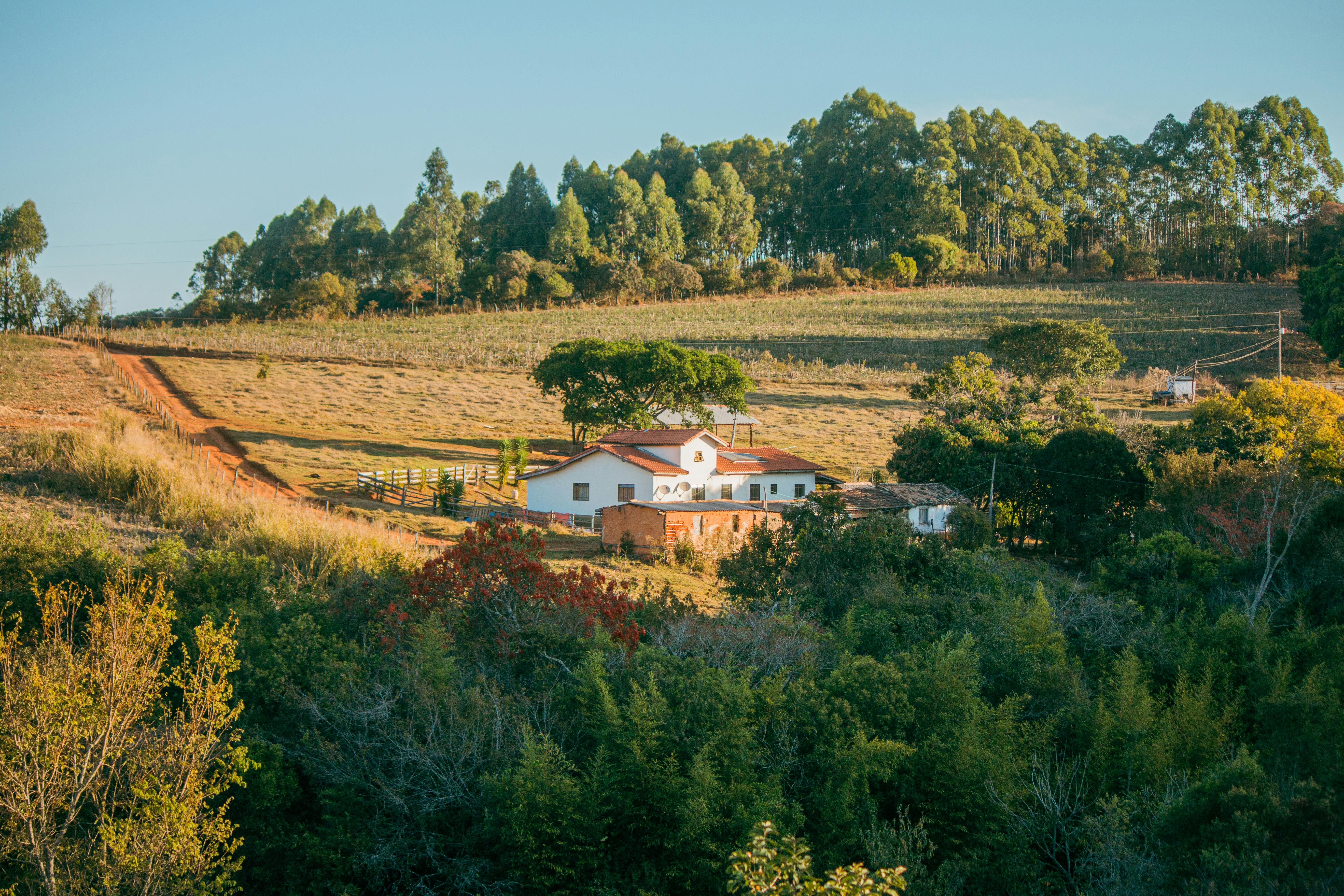 De la ciudad a la naturaleza